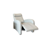 Recliners/Power motion Sofa