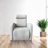 Recliners/Power motion Sofa